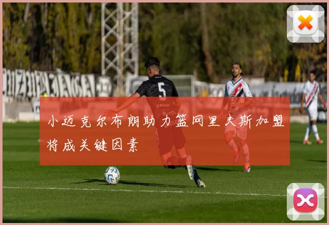 小迈克尔布朗助力篮网里夫斯加盟将成关键因素